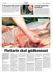 Síða 4
