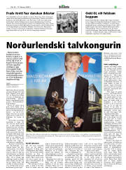 Síða 29