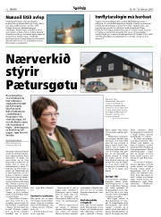 Síða 12