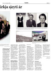 Síða 17