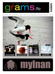 Síða 19