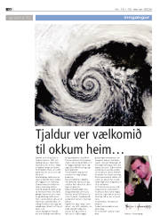 Síða 20