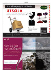 Síða 3