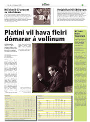 Síða 19