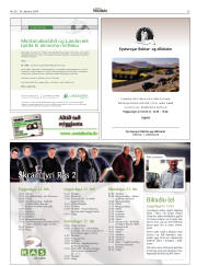 Síða 39