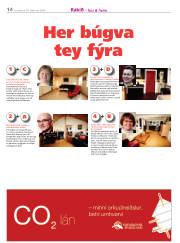 Síða 14