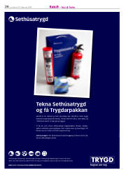 Síða 36