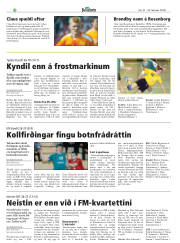 Síða 28