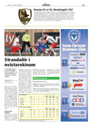 Síða 29