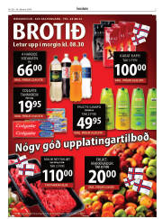Síða 3
