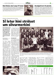 Síða 25