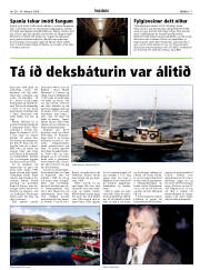 Síða 17