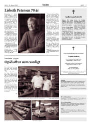Síða 17