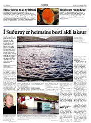 Síða 22