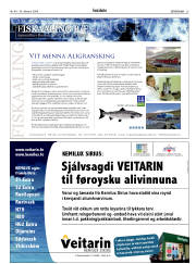 Síða 23