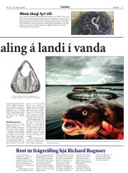 Síða 25