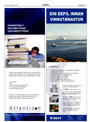 Síða 29