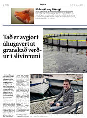 Síða 38