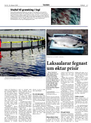 Síða 39