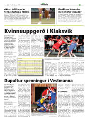Síða 29