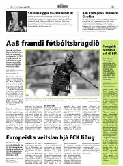 Síða 31