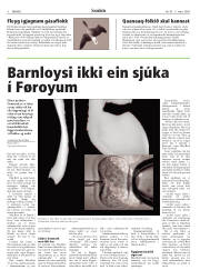 Síða 8