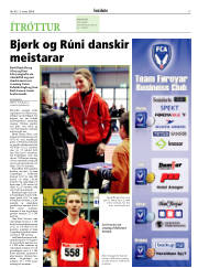 Síða 17