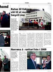 Síða 25