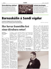 Síða 8