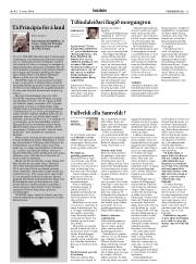 Síða 13