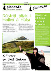 Síða 31