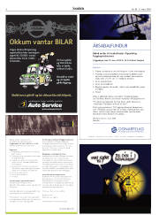 Síða 6