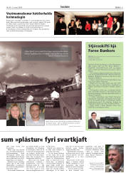 Síða 11