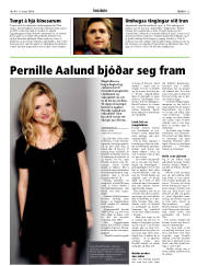 Síða 13