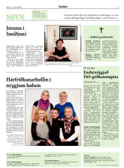 Síða 17