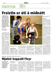 Síða 22