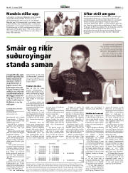 Síða 13