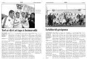 Síða 8