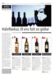 Síða 17