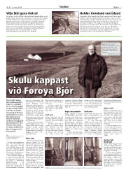 Síða 7