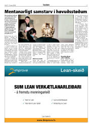 Síða 17
