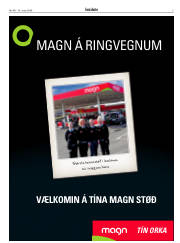 Síða 3