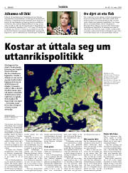 Síða 6