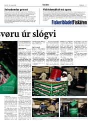 Síða 17