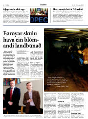 Síða 22