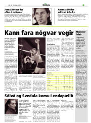 Síða 29