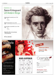Síða 32