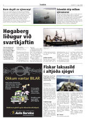 Síða 6