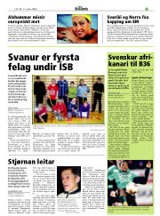 Síða 19