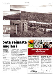 Síða 7
